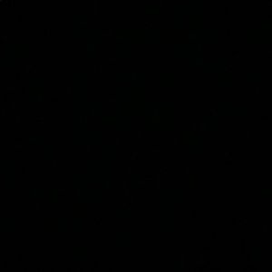 Meet your Posher, Billy